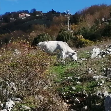 La Casa Dei Sogni Feriehus *