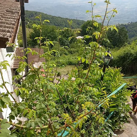 La Casa Dei Sogni Feriehus